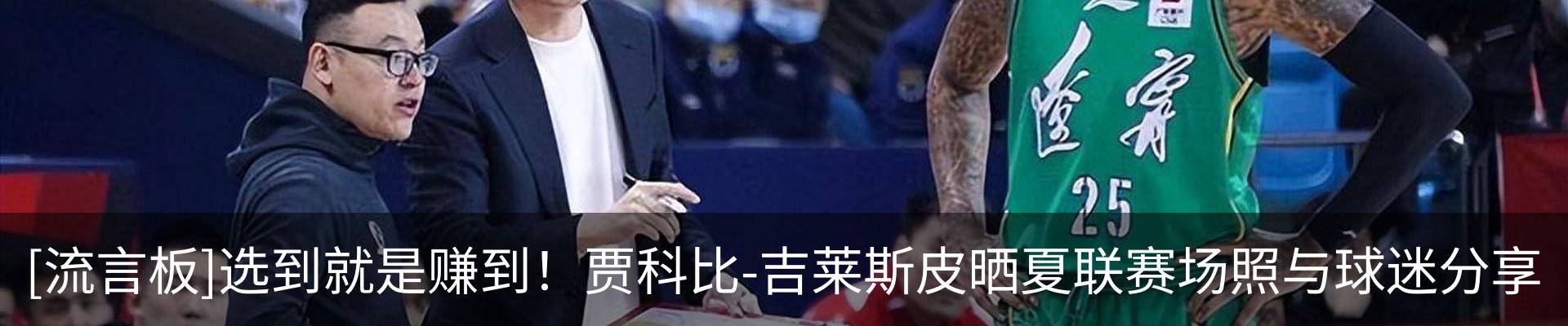 新闻动态